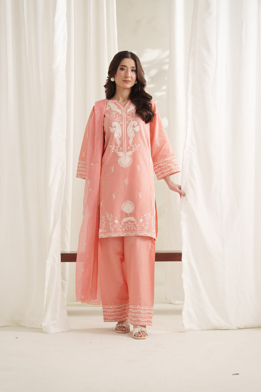 SAFIA EMBROIDERED 3PC